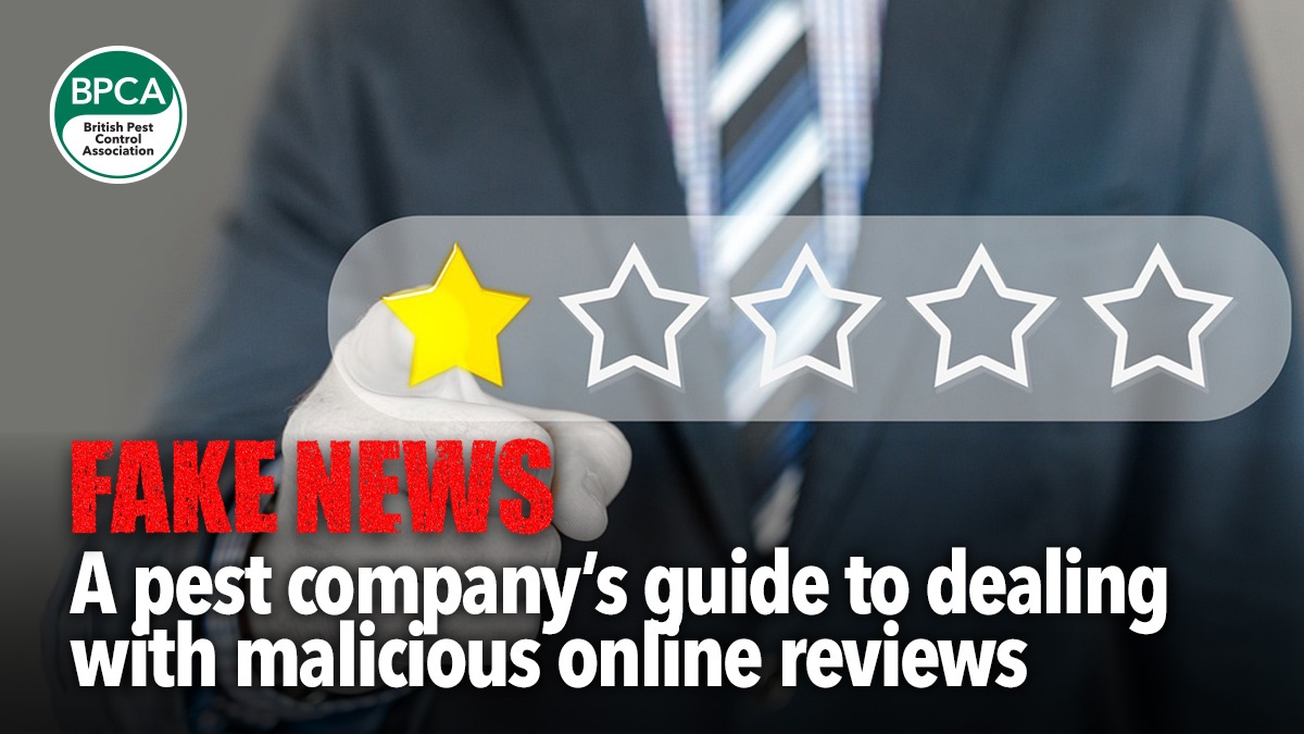 a-pest-controller-guide-to-malicious-reviews-hero a-pest-controller-guide-to-malicious-reviews-hero